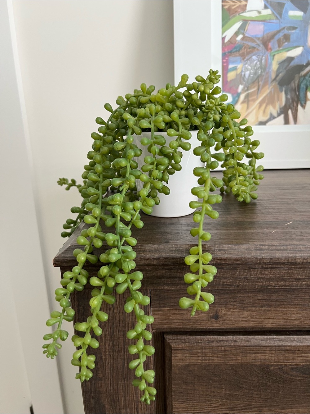 West Elm Green Trailing Faux Succulent Plant